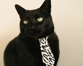 逆袭之夜，当太阳在广州升起，无名之辈乔治如何成为宏远王朝的暂停键？