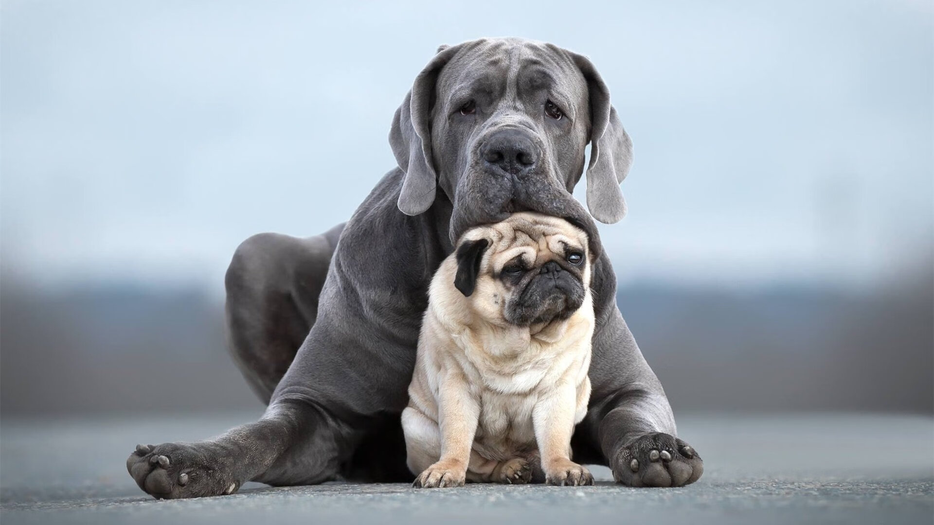 9打11！十人墨西哥掀翻委内瑞拉，布鲁诺绝境三连击封神