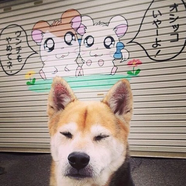 阳光普照，巨星闪光，太阳战术全面压制，克莱诠释冠军价值