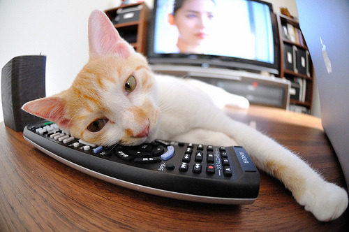 当国王遇见国王，山西队的洛杉矶奇袭夜