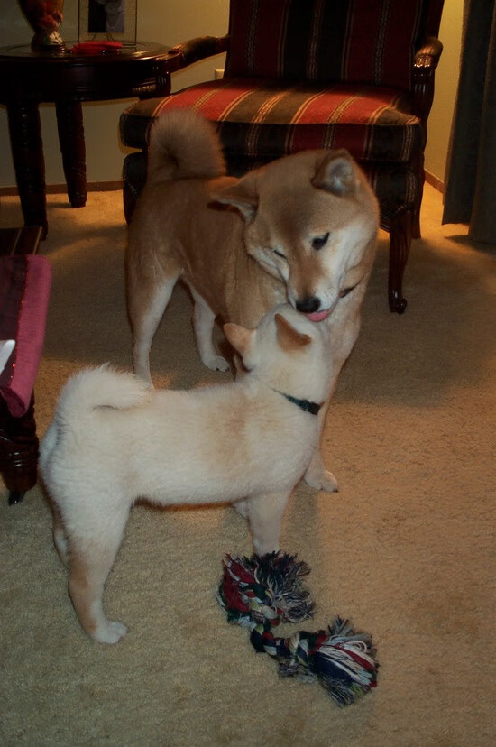 时空哨音，2026世界杯焦点战的隐秘序章