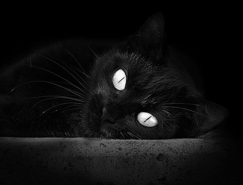 雷火电竞简介-绿茵场上的三分雨，2026世界杯太阳vs森林狼战术解码