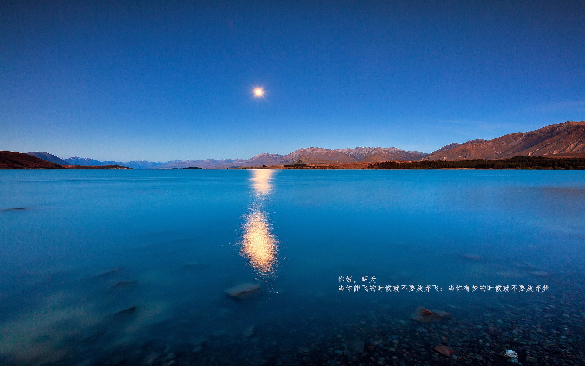 钢铁球场，当文班亚马在F1引擎轰鸣中接管揭幕战