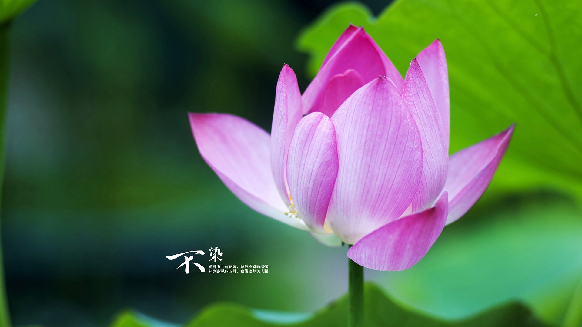 扩展思维，文章标题选项