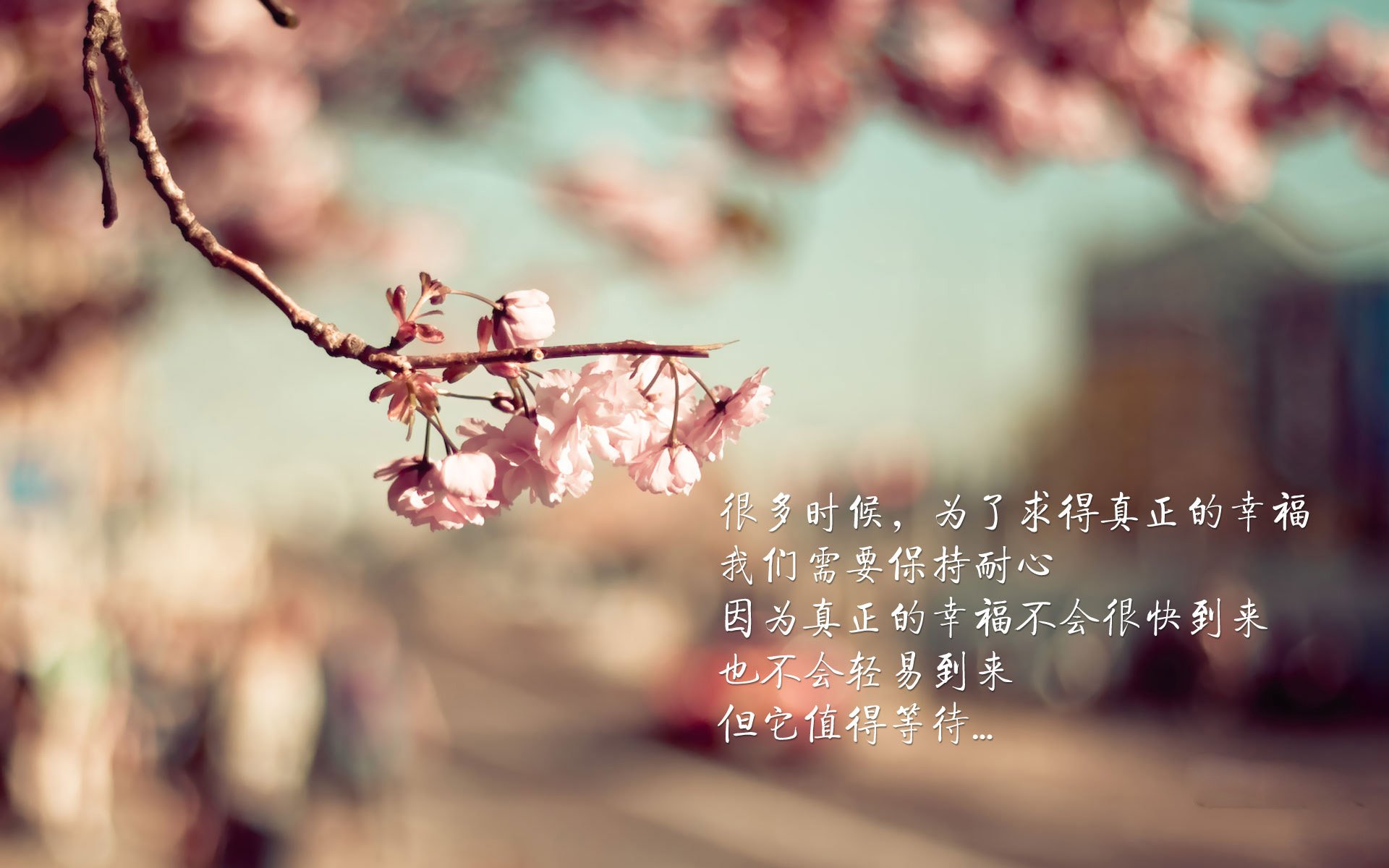 孤星绝杀,2026世界杯生死战,罗马尼亚逆转捷克,哈兰德一剑封喉