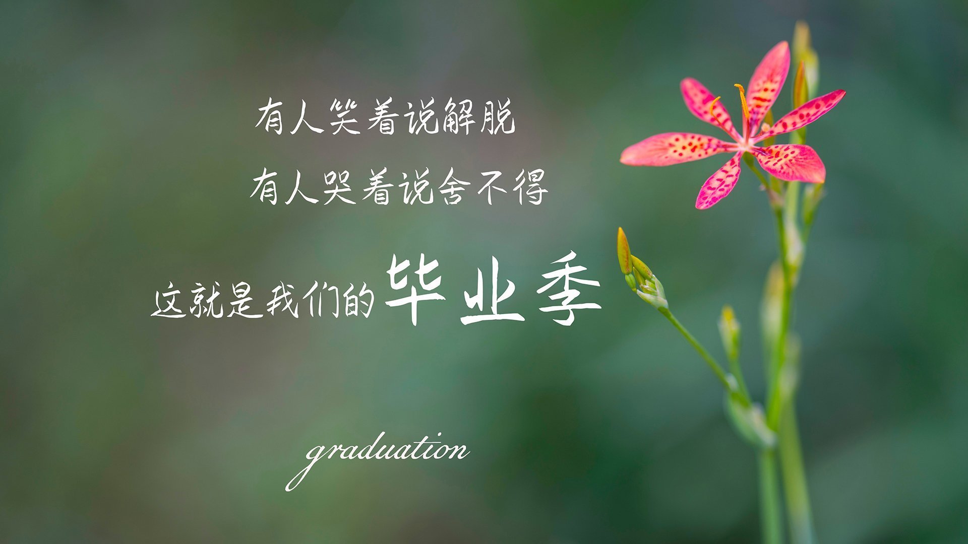 当智利坚盾撞碎美国梦，2026世界杯F组那场属于C罗的唯一黄昏